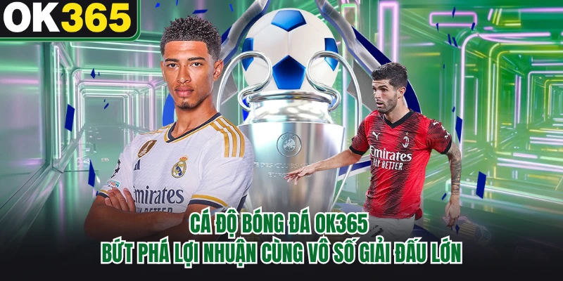 Cá Độ Bóng Đá OK365 - Bứt Phá Lợi Nhuận Cùng Vô Số Giải Đấu Lớn