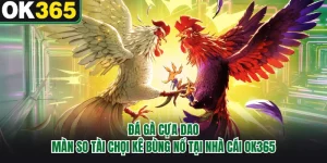 Đá Gà Cựa Dao - Màn So Tài Chọi Kê Bùng Nổ Tại Nhà Cái OK365
