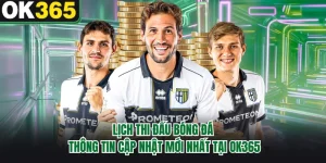 Lịch Thi Đấu Bóng Đá - Thông Tin Cập Nhật Mới Nhất Tại OK365