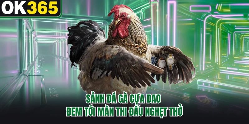 Sảnh đá gà cựa dao đem tới màn thi đấu nghẹt thở